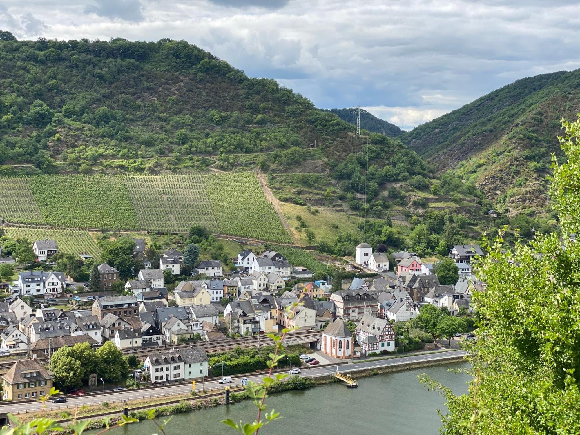 Mike'S Mosel Lodge Treis-Karden Luaran gambar