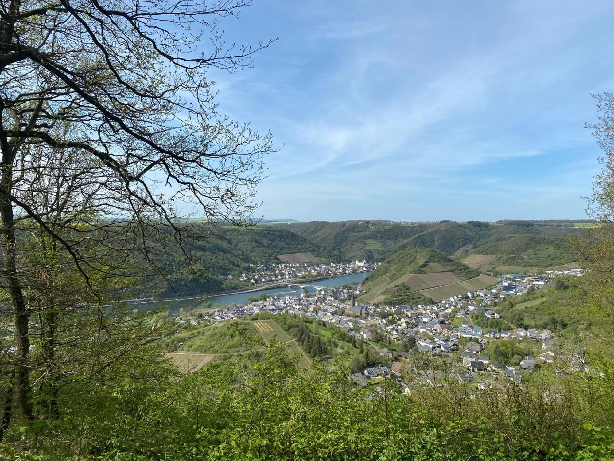 Mike'S Mosel Lodge Treis-Karden Luaran gambar